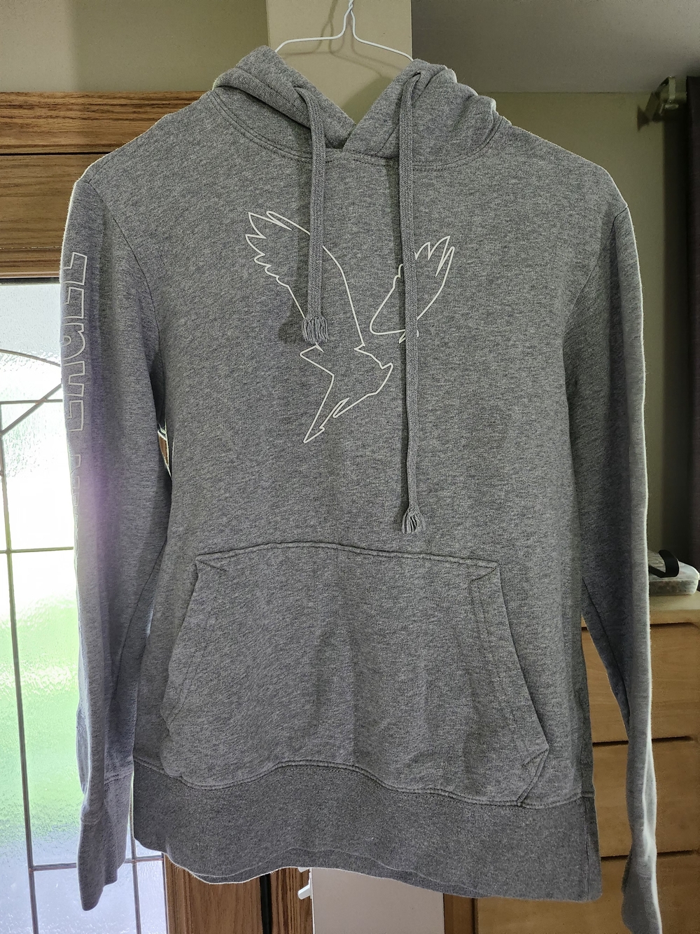 American Eagle Hooded Sweatshirt XS